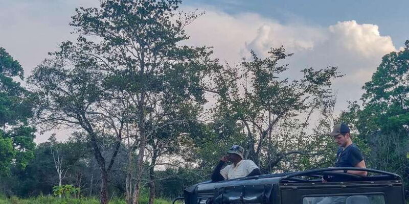 Ahangama: Udawalawe National Park Safari with Hotel Pickup - Key Points