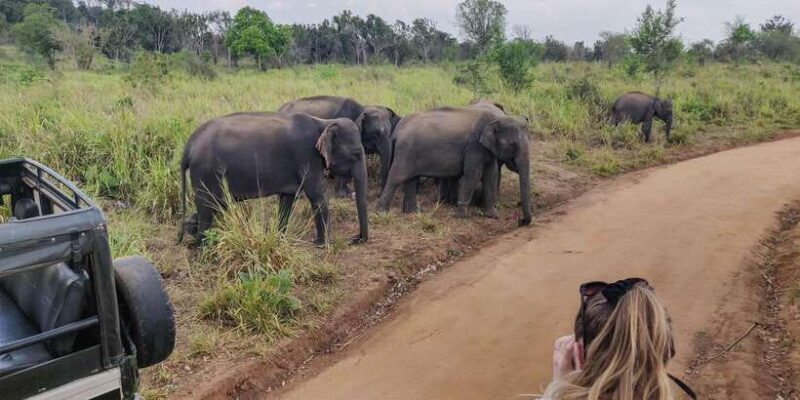 Ahangama: Udawalawe National Park Safari with Hotel Pickup - Detailed Breakdown of the Itinerary