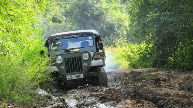 Ahangama: Udawalawe National Park Safari with Hotel Pickup - Who Will Love This Tour?