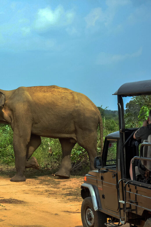 Ahangama: Udawalawe National Park Safari with Hotel Pickup - Final Thoughts: Is It Worth It?