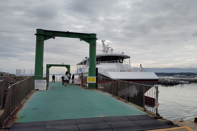 Ainoshima Island Private Cat Tour with Ferry Ride - Final Thoughts