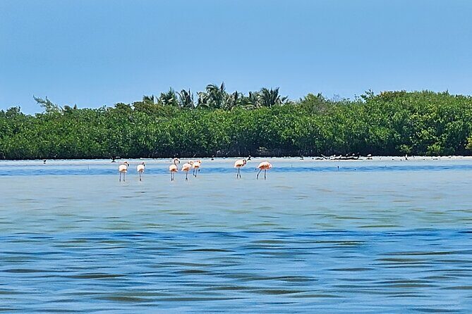 Airboat and ATV Jungle Adventure Combo in Cancun - The Experience from a Traveler’s Perspective