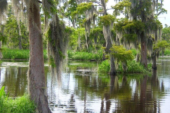 Airboat Swamp and Destrehan Plantation Tour from New Orleans - An In-Depth Look at the Tour Experience