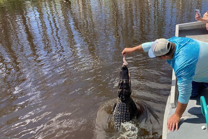 Airboat Swamp Tour with Transportation from New Orleans - Who Will Love This Tour?