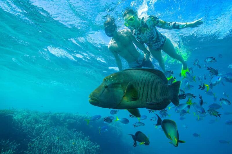 Airlie Beach: Adults-Only Whitehaven Beach Sailing Tour - Practical Tips for a Smooth Day
