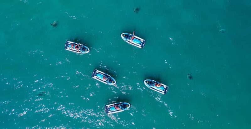 Airlie Beach: Airlie Adventure Jet Ski Tour - The Details: What You Need to Know