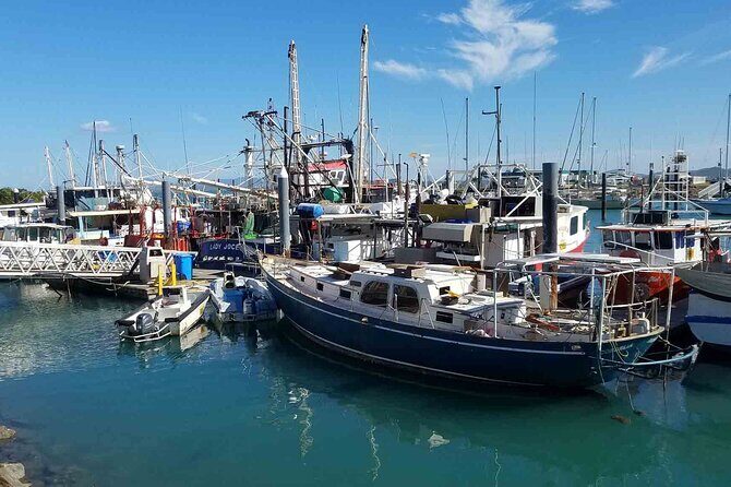 Airlie Beach: Beautiful Bowen Beaches Day Tour. - Stop 1: The Big Mango – A Quirky Welcome