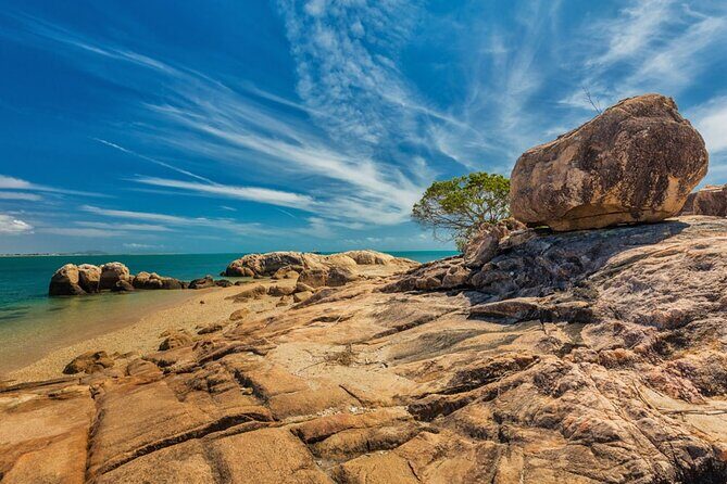 Airlie Beach: Beautiful Bowen Beaches Day Tour. - Stop 3: Bowen Fisherman’s Wharf and Birds Fish Bar