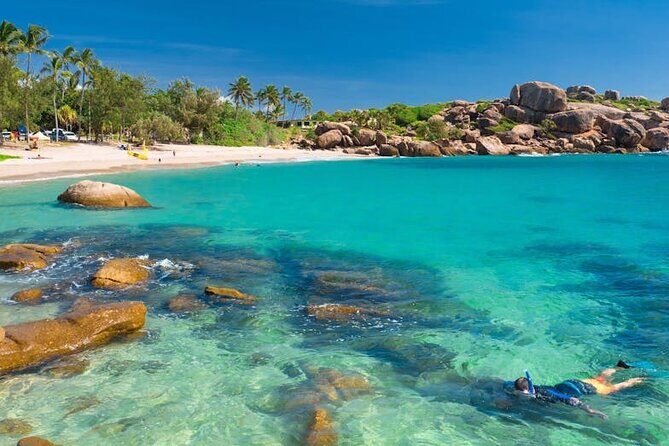 Airlie Beach: Beautiful Bowen Beaches Day Tour. - Stop 4: Horseshoe Bay – The Iconic Little Paradise