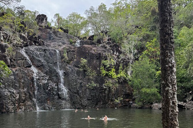 Airlie Beach: Cedar Creek Express (cruise ship friendly) - Flexibility and Booking