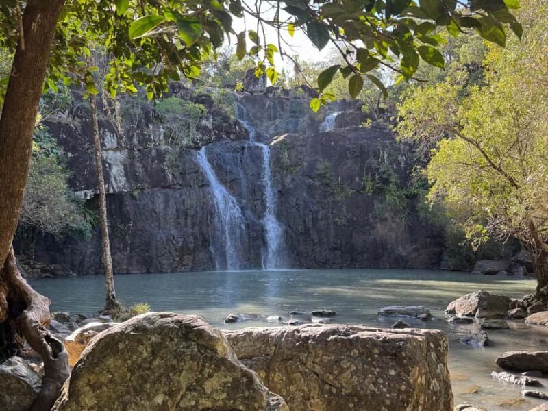 Airlie Beach: Cedar Creek Express Eco Tour - An Authentic Encounter with North Queensland Nature