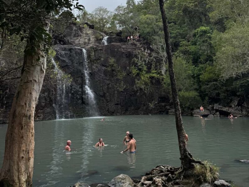 Airlie Beach: Cedar Creek Express Eco Tour - Timing and Seasonality