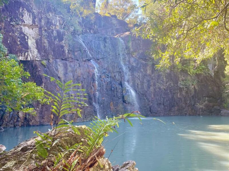 Airlie Beach: Cedar Creek Express Eco Tour - Accessibility and Considerations