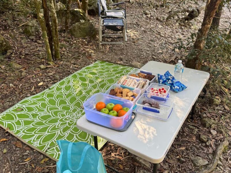 Airlie Beach: Cedar Creek Express Eco Tour - Final Thoughts: Who Should Book This Tour?