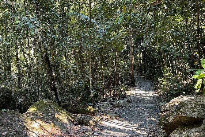 Airlie Beach: Eungella Wild Platypus Encounter Eco Tour - The Pinnacle Hotel Stop