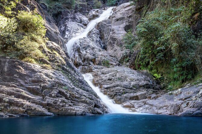 Airlie Beach: Eungella Wild Platypus Encounter Eco Tour - The Value of Wildlife Encounters