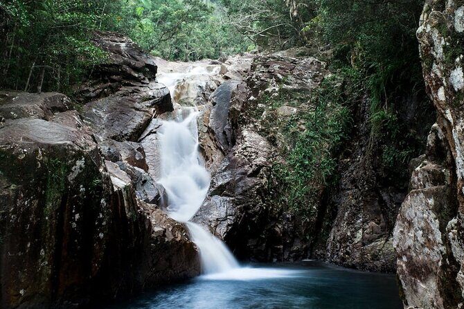 Airlie Beach: Eungella Wild Platypus Encounter Eco Tour - The Cost and Its Justification