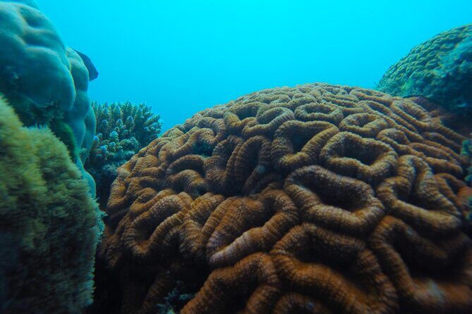 Airlie Beach Glass Bottom Boat Guided Night Tour - The Experience: Comfort, Convenience, and Atmosphere
