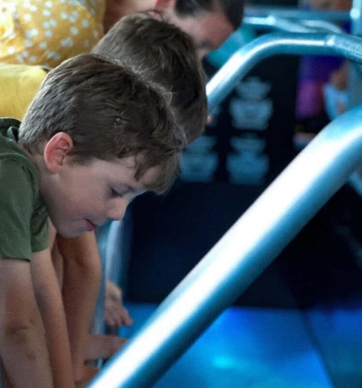 Airlie Beach: Glass-Bottom Boat Night Tour - Key Points