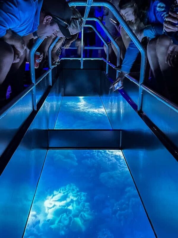 Airlie Beach: Glass-Bottom Boat Night Tour - Pricing and Value