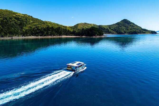 Airlie Beach Glass Bottom Boat Tour - The Sum Up: Who Should Book This Tour?