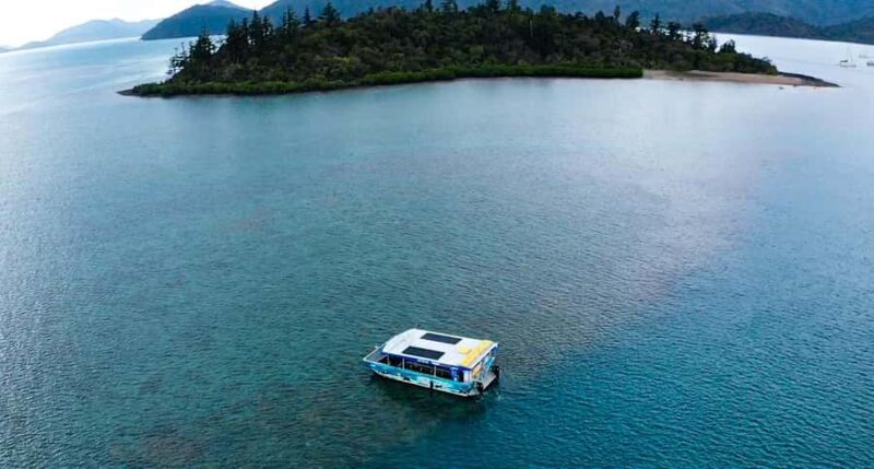 Airlie Beach: Glass-Bottom Boat Tour - Key Points