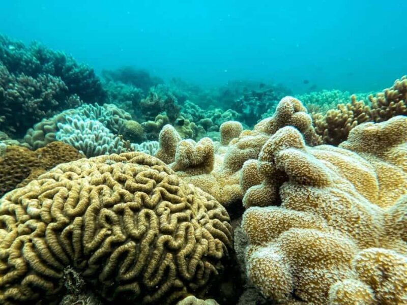 Airlie Beach: Glass-Bottom Boat Tour - FAQ