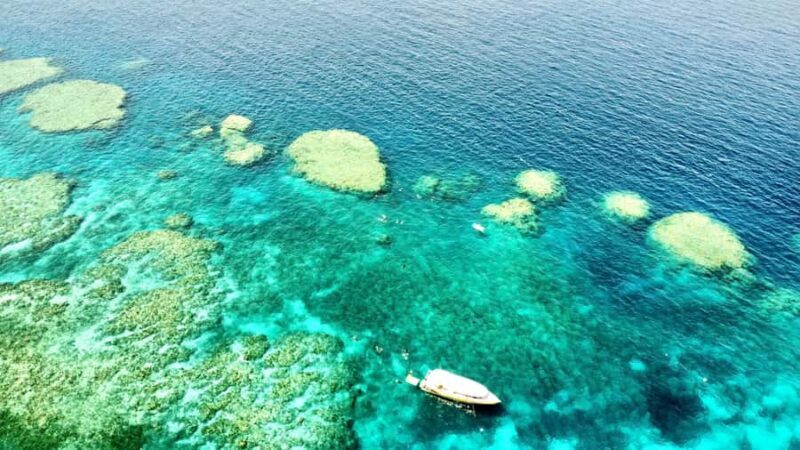 Airlie Beach: Great Barrier Reef & Whitehaven Beach Tour - Who Should Consider This Tour?