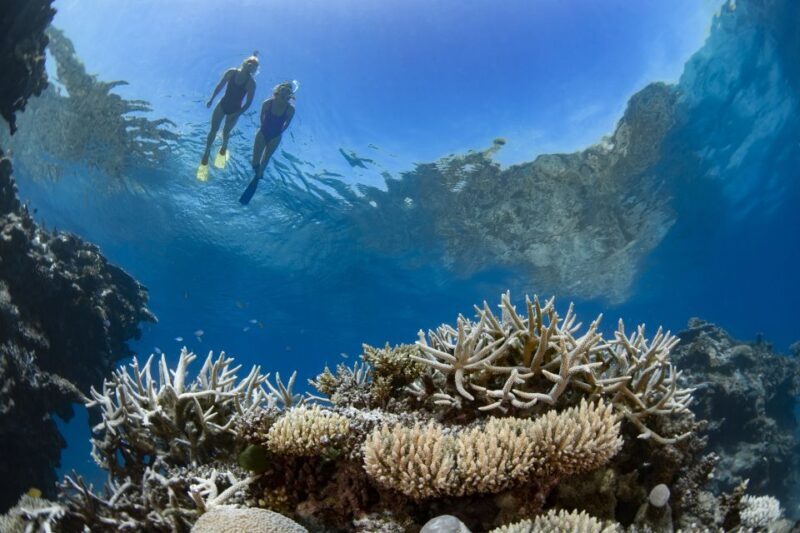 Airlie Beach: Great Barrier Reef & Whitehaven Beach Tour - The Sum Up: Is It Worth It?