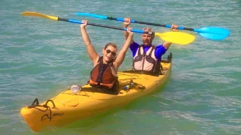Airlie Beach: Half Day Turtle Tour Sea Kayaking Adventure - What the Itinerary Looks Like