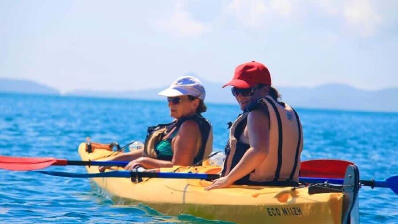 Airlie Beach: Half Day Turtle Tour Sea Kayaking Adventure - What Travelers Say