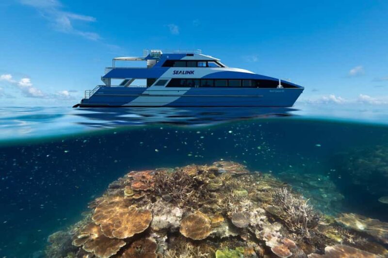 Airlie Beach: Outer Great Barrier Reef Snorkeling Day Trip - Exploring the Outer Great Barrier Reef: A Closer Look