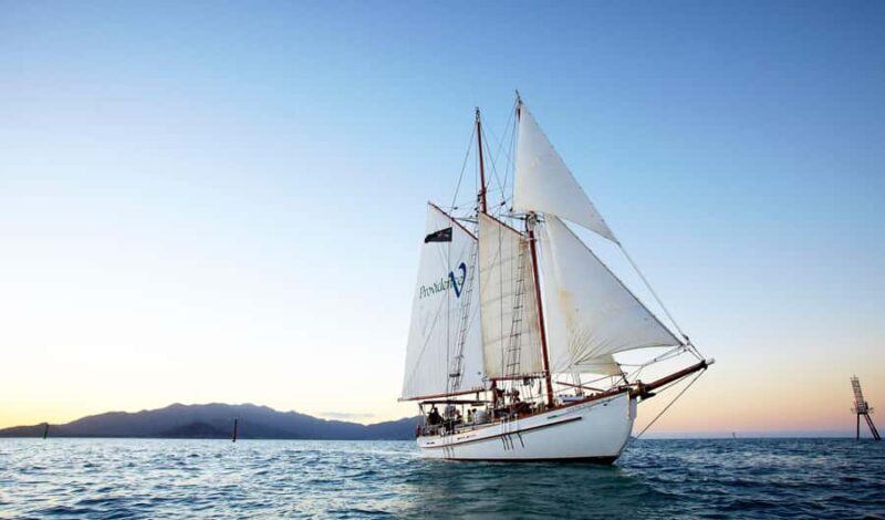 Airlie Beach: Providence Whitehaven Day Sail with Snorkeling - Diving into the Details: Itinerary and Highlights