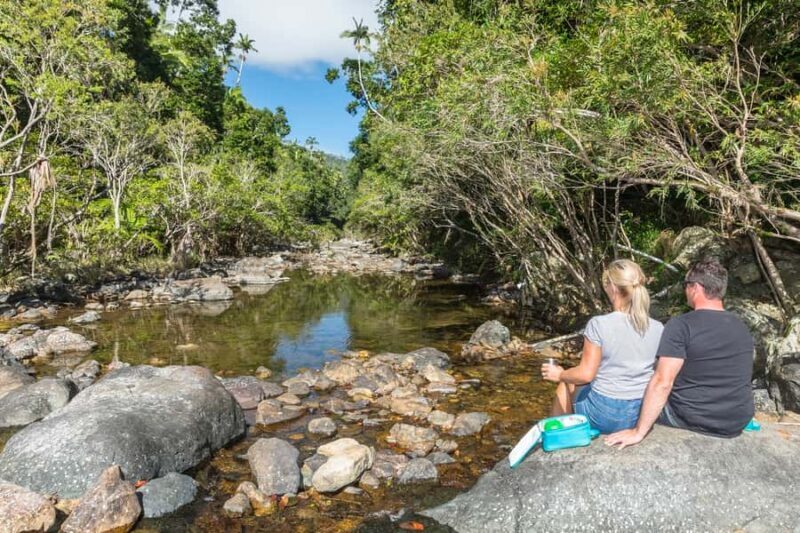 Airlie Beach: Segway Rainforest Discovery Tour - Authentic Experiences and Reviews