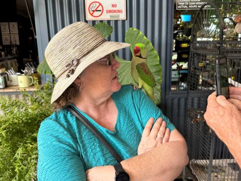 Airlie Beach: Sightseeing Bus Tour - Final Words