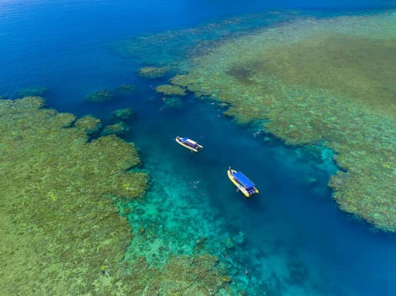 Airlie Beach: Snorkel, Hill Inlet Lookout & Whitehaven Beach - Practical Tips and Considerations