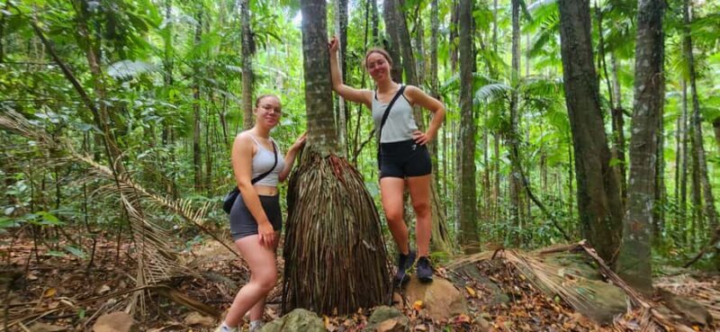 Airlie Beach: Waterfall & Rainforest Bushwalk Eco Adventure - What Makes This Tour Stand Out?