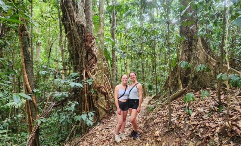 Airlie Beach: Waterfall & Rainforest Bushwalk Eco Adventure - The Natural Beauty and Why Youll Love It