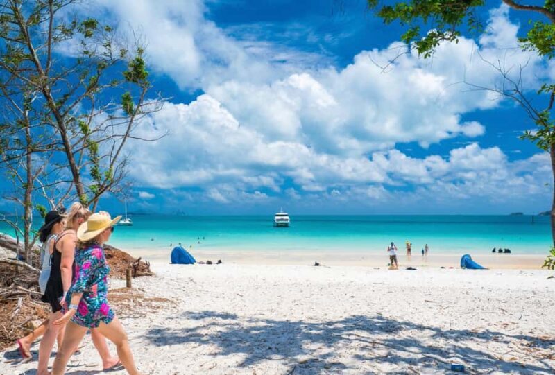 Airlie Beach: Whitehaven Beach Cruise and Hill Inlet - Authentic Feedback from Travelers