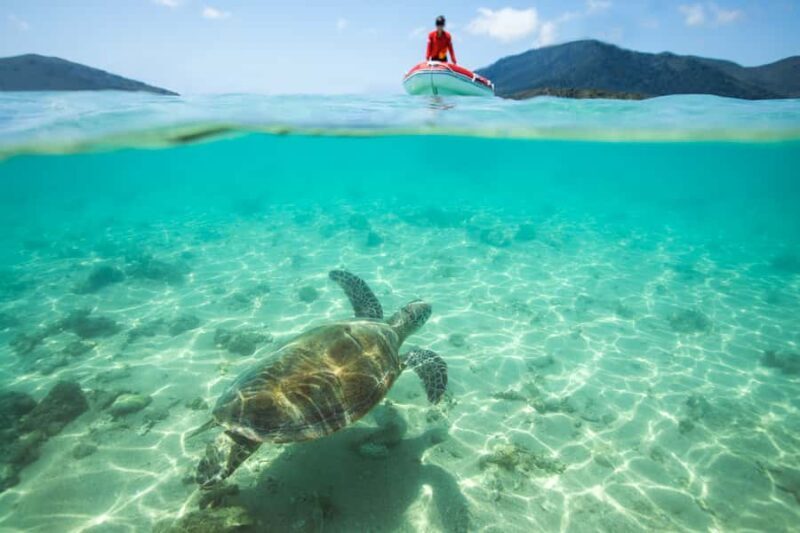 Airlie Beach: Whitehaven Full-Day Eco-Cruise with Buffet - Exploring the Itinerary: What to Expect from the Day