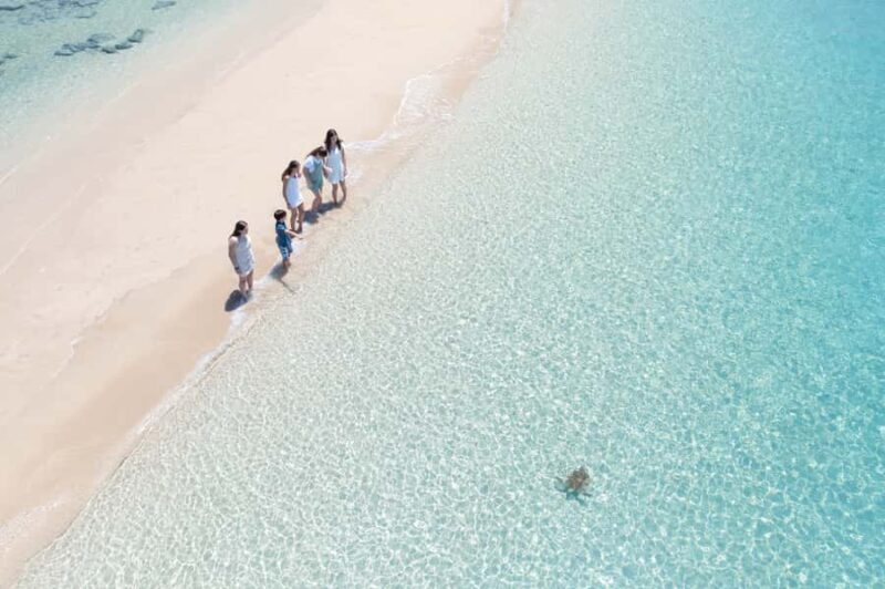 Airlie Beach: Whitehaven Full-Day Eco-Cruise with Buffet - Possible Drawbacks or Considerations