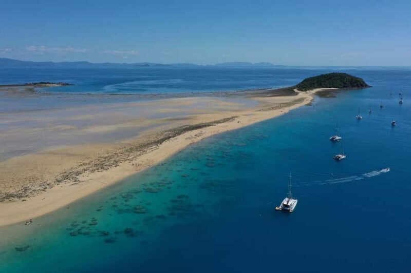 Airlie Beach: Whitsunday Islands Sailing, SUP & Snorkel Tour - Snorkeling & Marine Life: Close Encounters