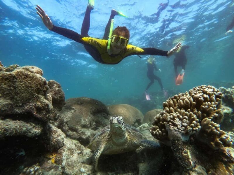 Airlie Beach: Whitsunday Islands Sailing, SUP & Snorkel Tour - Why This Tour Excels According to Travelers’ Feedback