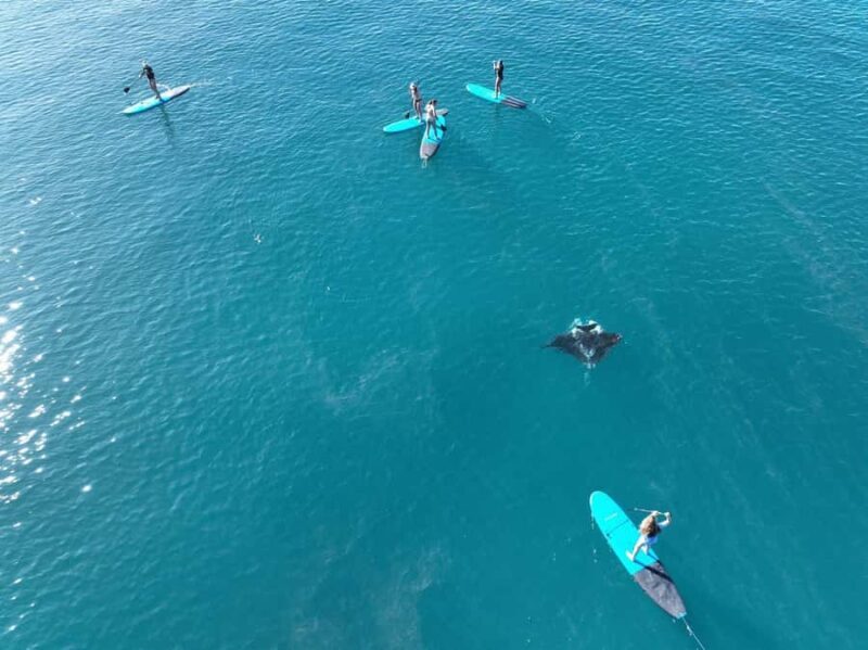 Airlie Beach: Whitsunday Islands Sailing, SUP & Snorkel Tour - The Value of the Experience