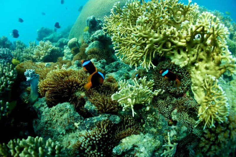 Airlie Beach: Whitsunday Islands Sailing, SUP & Snorkel Tour - FAQ