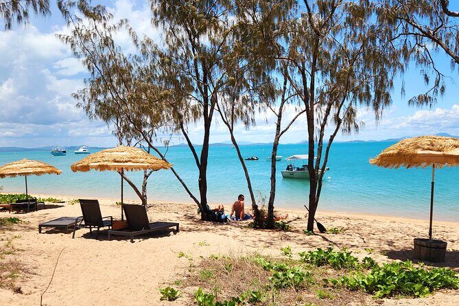 Airlie Coastal Beach Adventures - Dingo Beach & Cape Gloucester - Airlie Coastal Beach Adventures - Dingo Beach & Cape Gloucester: An In-Depth Review