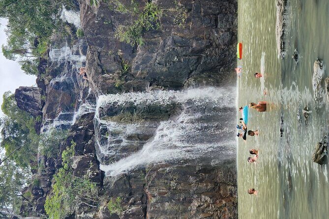 Airlie Waterfalls & Rainforest Bushwalk Eco Adventure - An In-Depth Look at the Itinerary