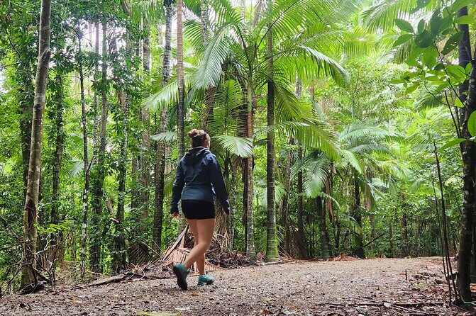 Airlie Waterfalls & Rainforest Bushwalk Eco Adventure - Authentic Experiences from Travelers