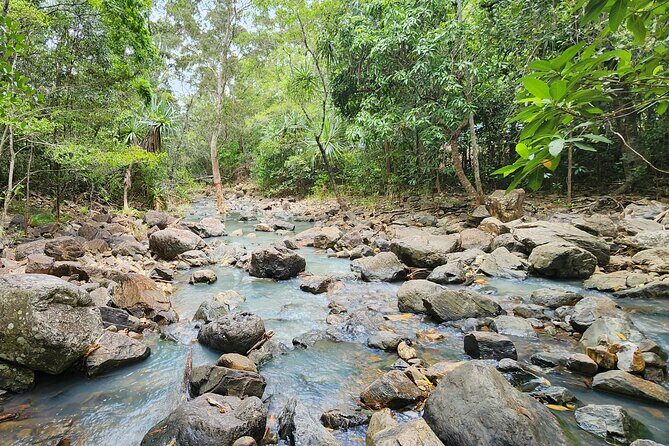 Airlie Waterfalls & Rainforest Bushwalk Eco Adventure - Who Would Love This Tour?