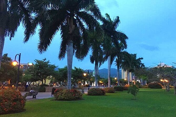 Airport Group Transfers-Kingston - The Sum Up